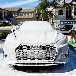 A1 Auto Detailing Mobile